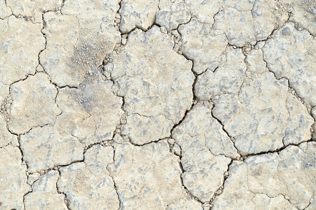 Dry and cracked ground.