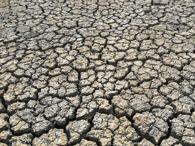 Foto la terra secca e fessurata nell'estate del nord-est della thailandia