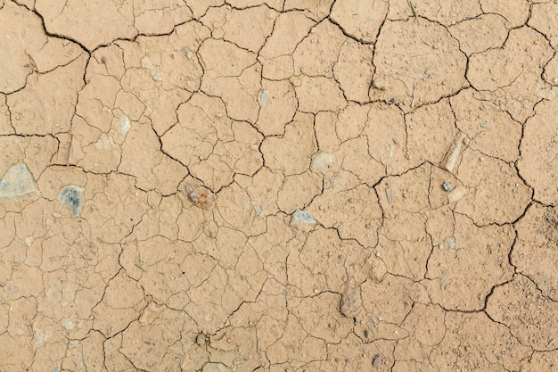 Photo dry cracked land