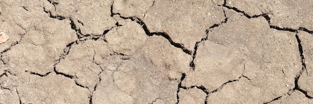 Dry cracked soil cracked and torn brown earth grunge and climate change concept dry cracked