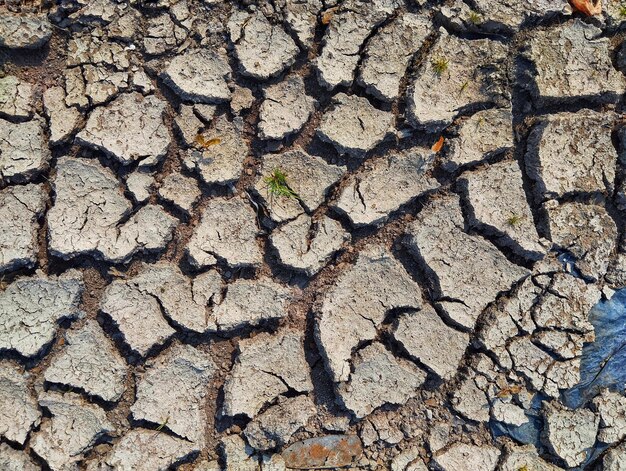 Photo dry cracked soil top view of the dry field with some small green plants