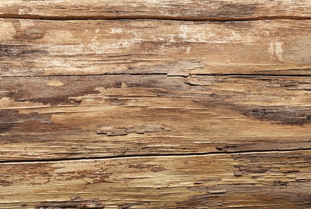 Dry cracked wood texture