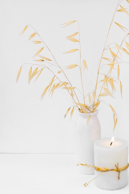 Dry decorative plants in ceramic vase burning candle on white background