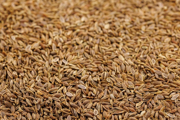 Dry dill seeds on flat surface closeup background with selective focus