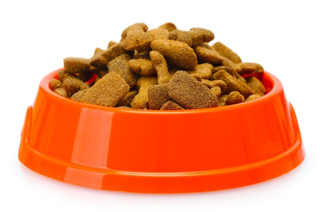 Dry dog food in orange bowl isolated on white