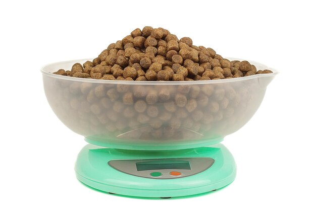 Photo dry dog food on scales