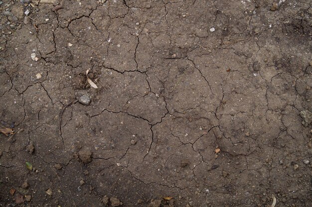 Foto foto di textue del suolo della terra asciutta