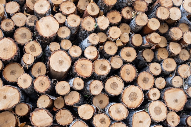 Dry felled logs background