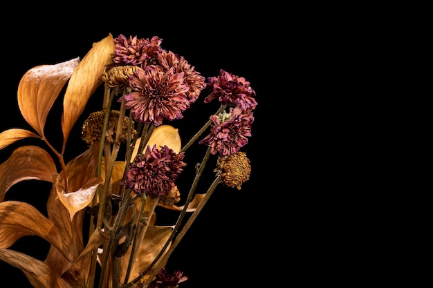 Fiore di campo secco in una composizione floreale in un piccolo barattolo di legno isolato su sfondo nero