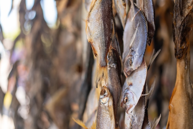 Triglia di womer pesce secco appeso a corda essiccazione sul sole estivo su un contatore di negozio.