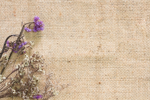 Photo dry flower on jute.