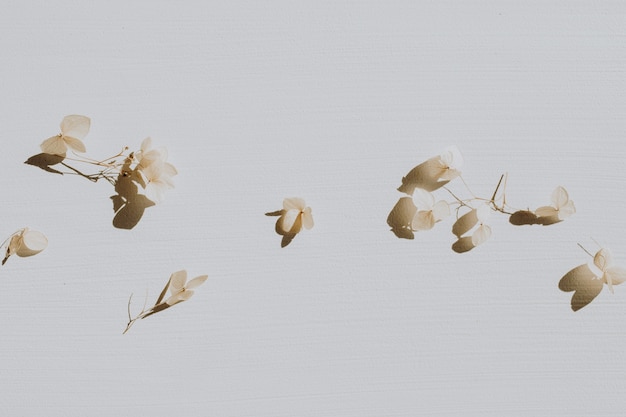 Photo dry flower petals on dusty grey.