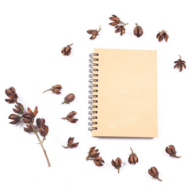 dry flower seed of tropical tree on white background isolate.