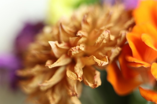 dry flowers abstract pattern background