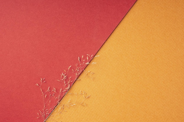 明るい赤オレンジ色の背景にドライフラワー フラット フラット トップ ビュー copyspace 秋の暖かい色の最小限の創造的なレイアウト 自然な自然の背景 幾何学的形状の背景
