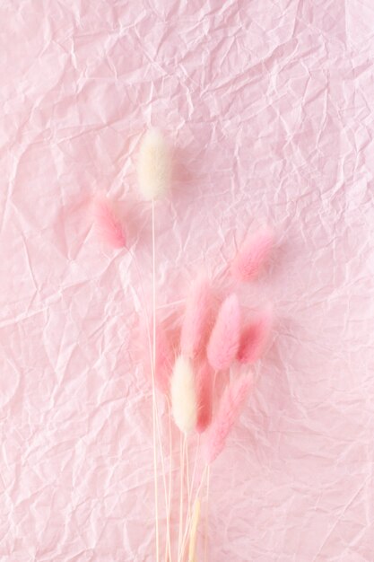 Dry flowers on a pink crumpled background. Soft blur