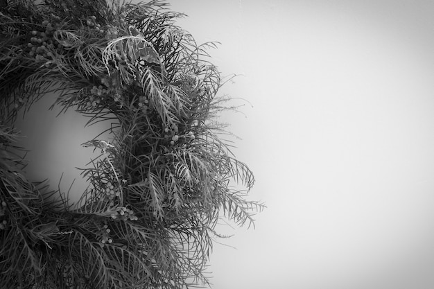 Foto fiori secchi e smog su sfondo bianco è una foto in bianco e nero