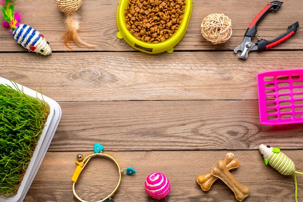 Photo dry food in bowl, spatula, grass, nail scissors, collar, mouse, balls, bones on wooden