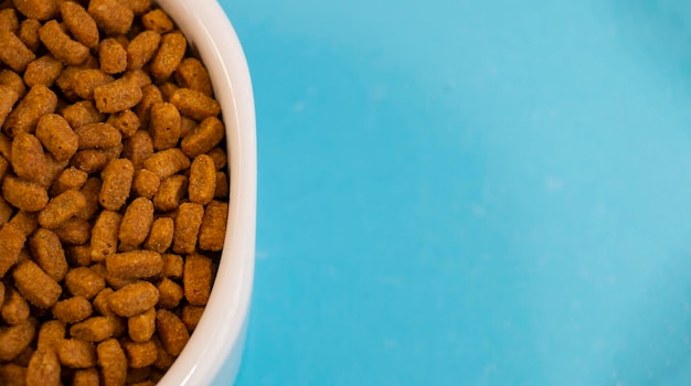 Photo dry food for cats in a white bowl on a blue background banner
