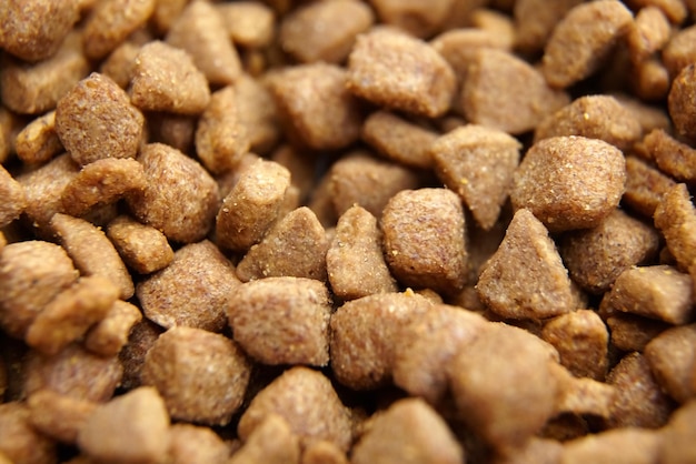 Dry food for dogs and cats Pet meal background