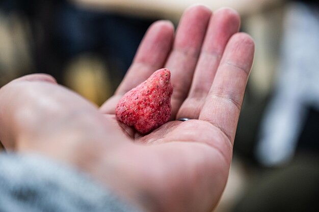 Foto alimenti secchi