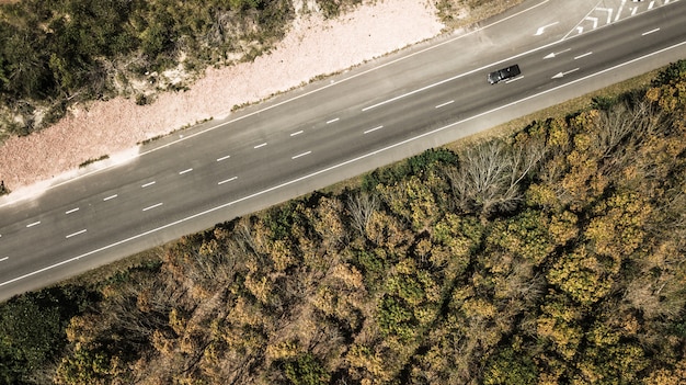 Dry forest ,  autumn forest in aerial view 