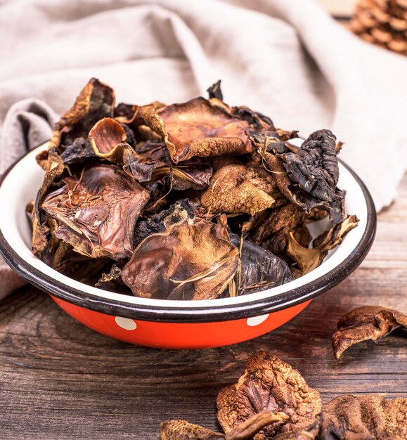 Photo dry forest edible mushrooms