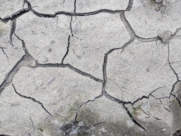 dry gray earth with cracks