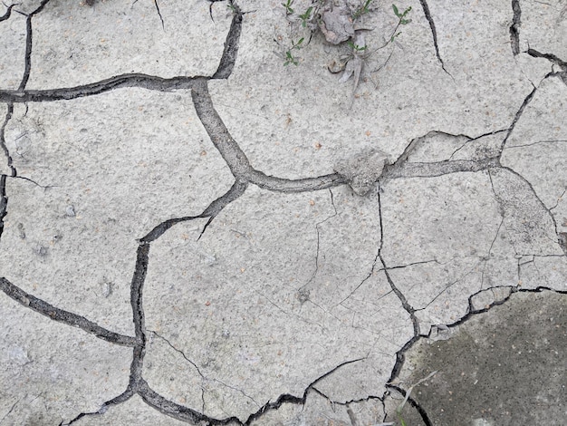 dry gray earth with cracks