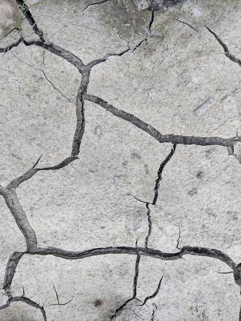 dry gray earth with cracks