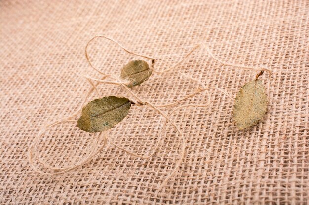 Dry green leaves and thread on canvas