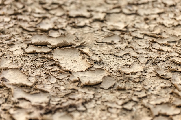 Dry ground background