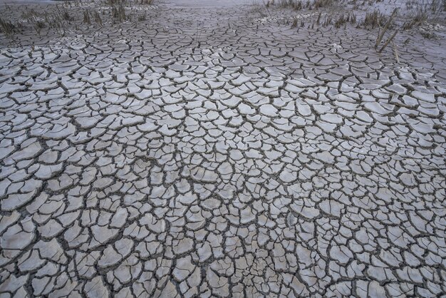 dry ground cracks