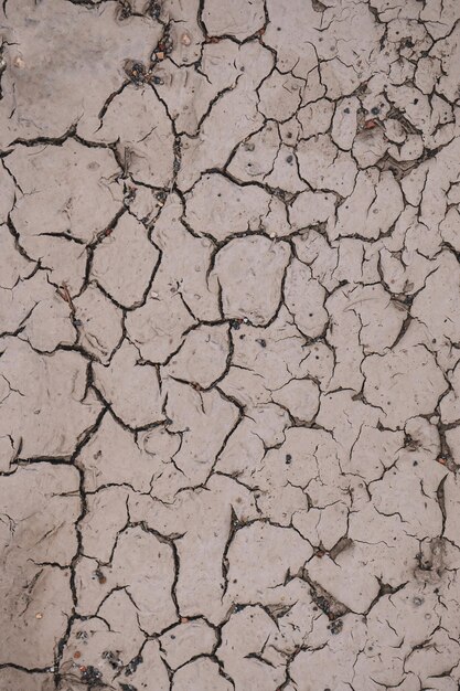 dry ground in the nature global warming climate change