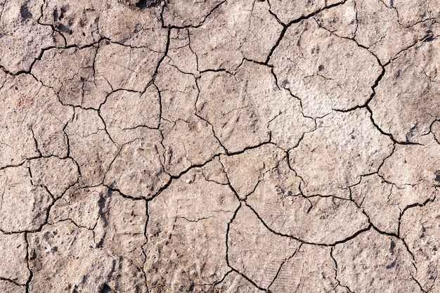Dry ground with cracks. Global warming concept.