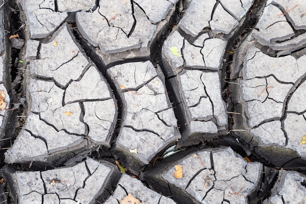 Dry ground with cracks.