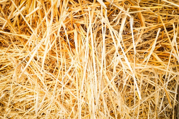 Dry hay piled up in a heap the abstract background