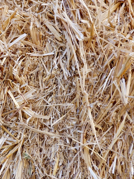 Dry haystack of yellow warm colour outside for backgrounds and backdrops