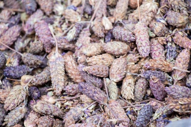 Dry herbal plants at the market