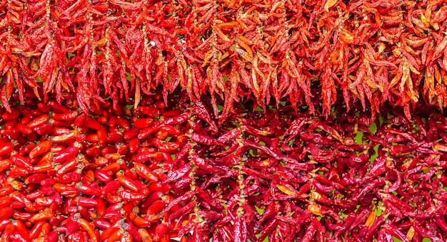 Dry hot chillis background