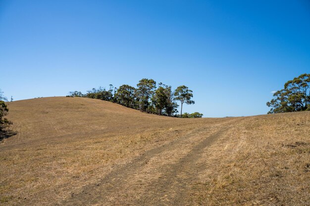 Foto paesaggio agricolo secco caldo in australia siccità in una fattoria con suolo nudo