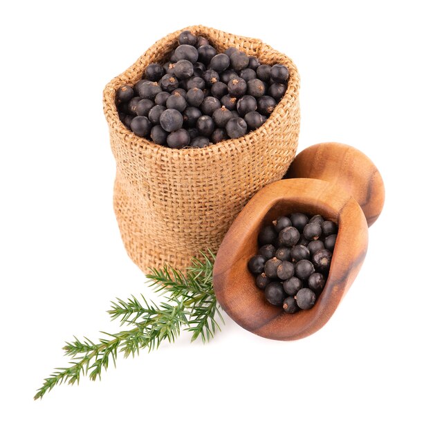 Dry juniper berries in small burlap sack with green branch, isolated on white.