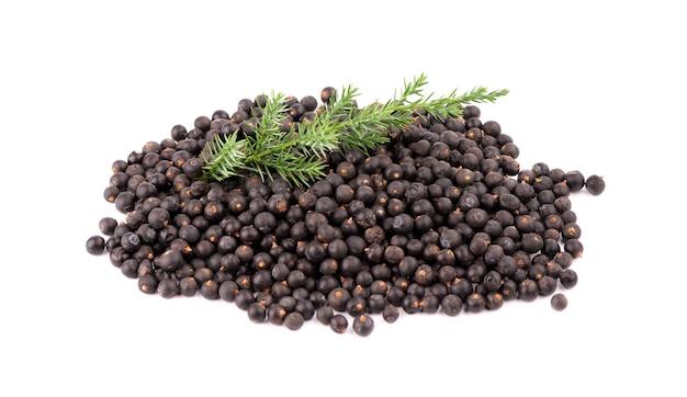 Dry juniper berries with green branch, isolated on white background. Common Juniper fruits.