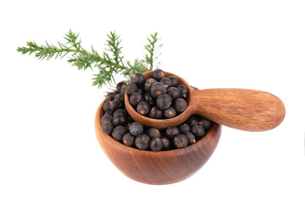 Dry juniper berries with a green branch, isolated