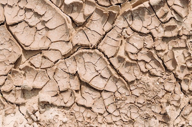 Dry land in the desert, dry mud from evaporated water.