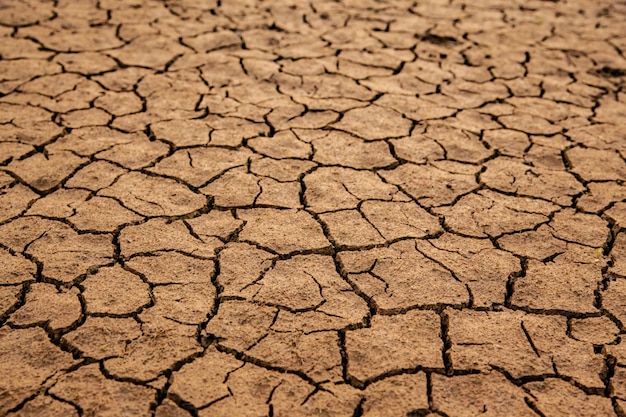 水がない乾燥した土地は地球温暖化の概念をクローズアップ