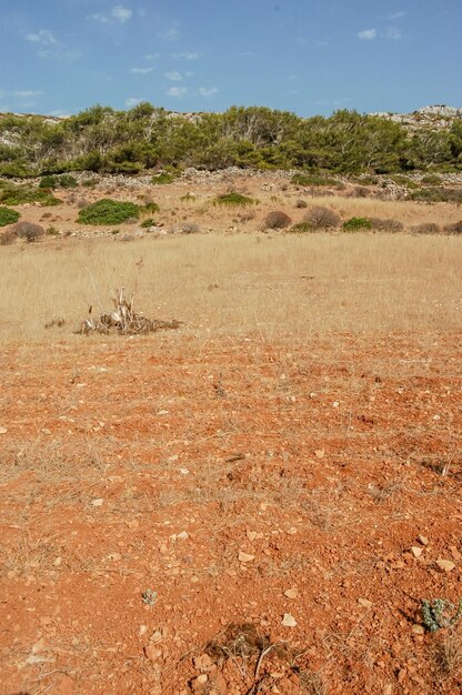 Dry Landscape Countryside