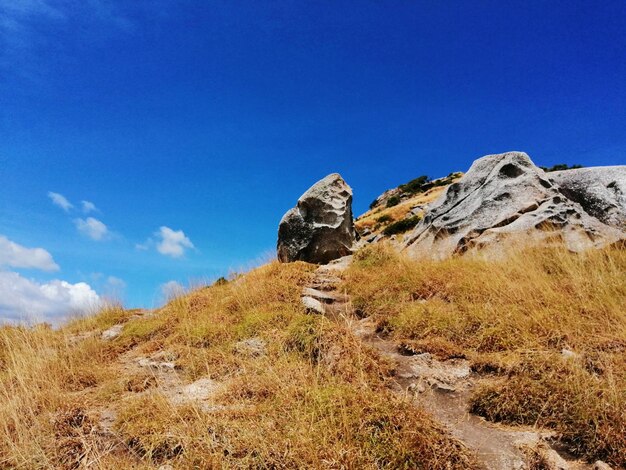 Dry landscape