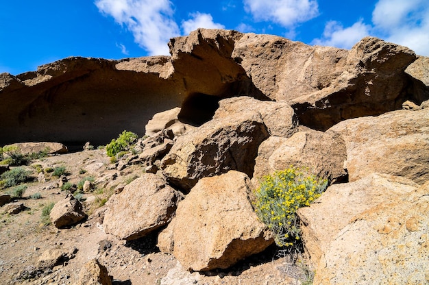 dry landscape