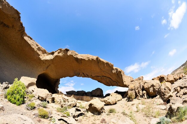 dry landscape